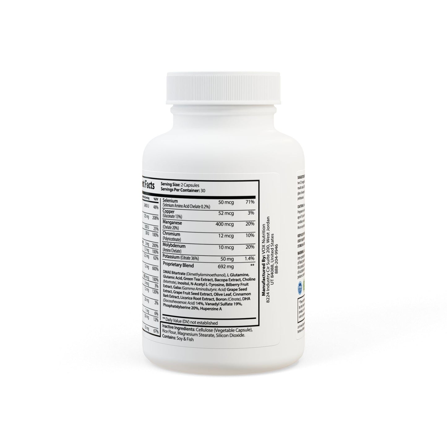 Vitagami Brain Support Complex | Mental Focus & Cognitive Energy (60 Capsules)