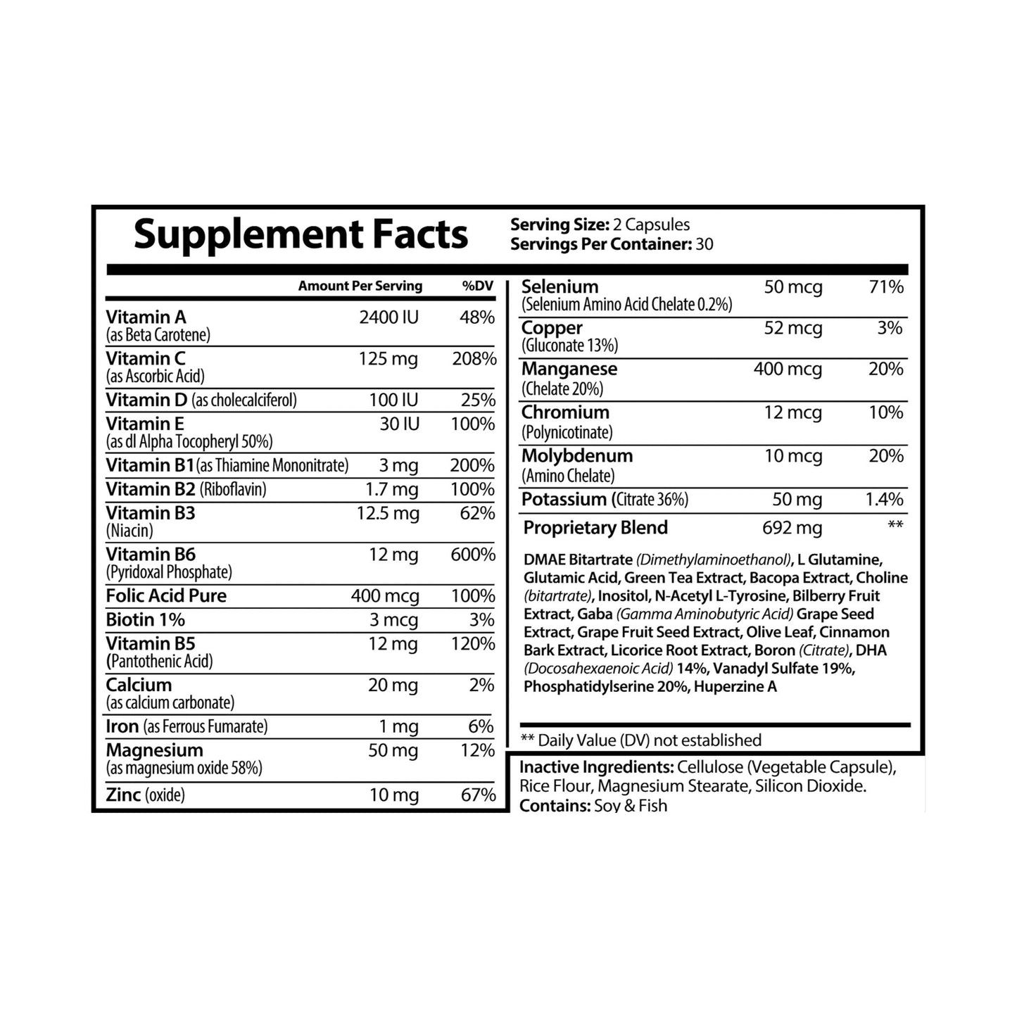 Vitagami Brain Support Complex | Mental Focus & Cognitive Energy (60 Capsules)