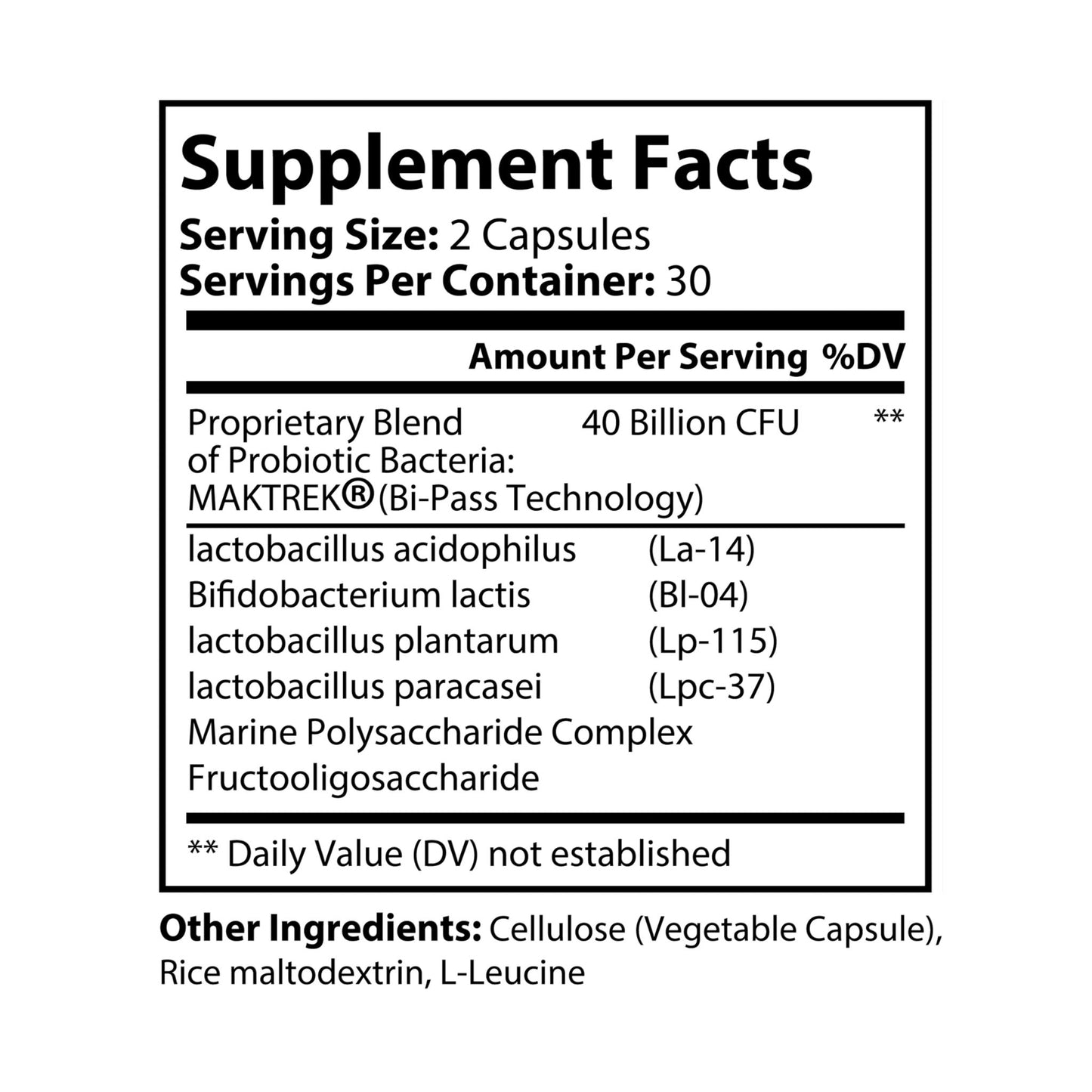 Vitagami Probiotic Complex | Gut Balance & Performance (60 Caps)