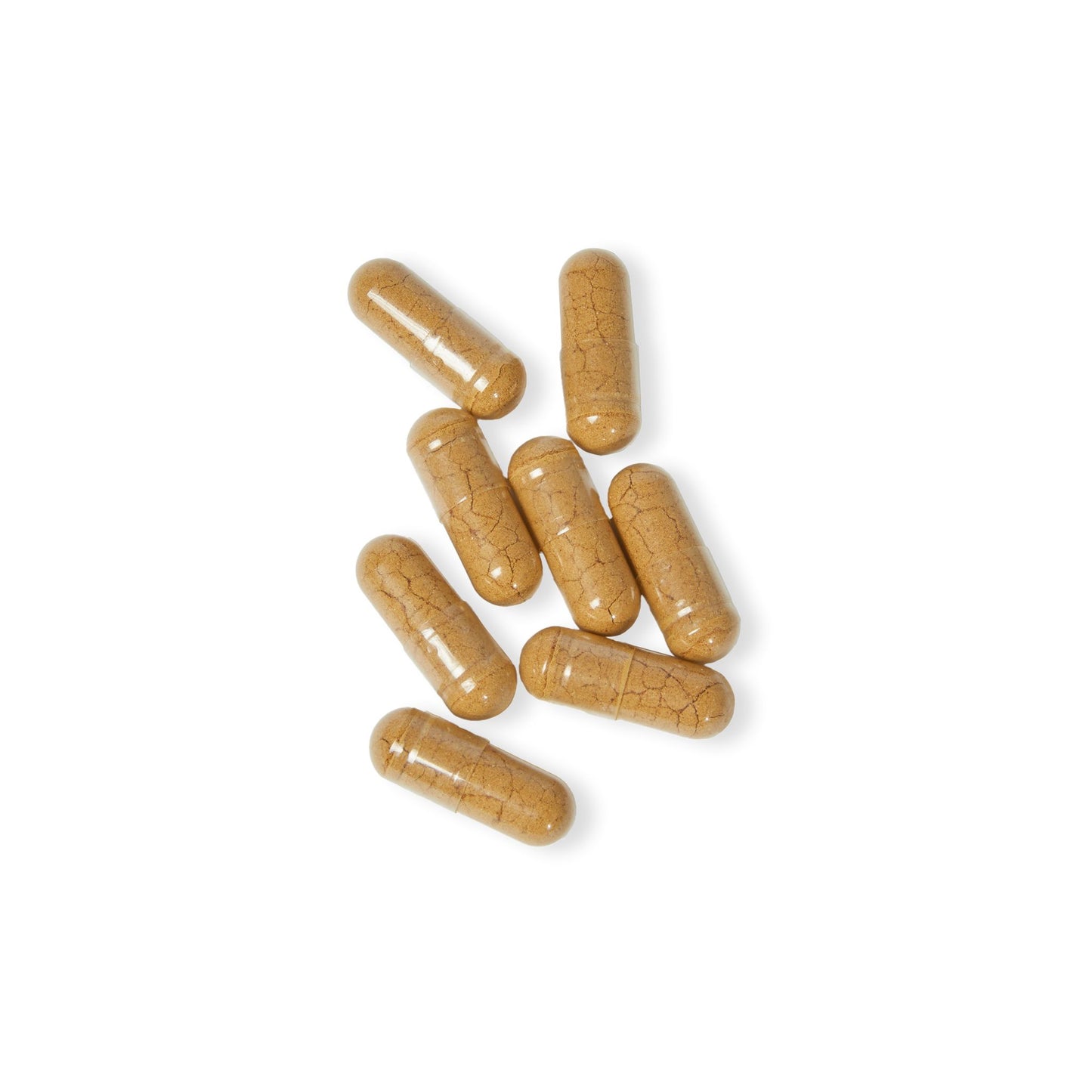 Vitagami Mushroom Complex | Brain & Immune Support (60 Caps)