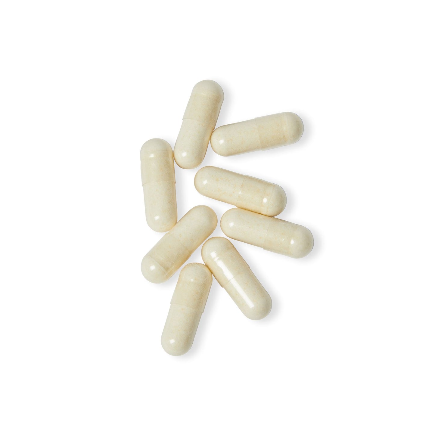 Vitagami Probiotic Complex | Gut Balance & Performance (60 Caps)