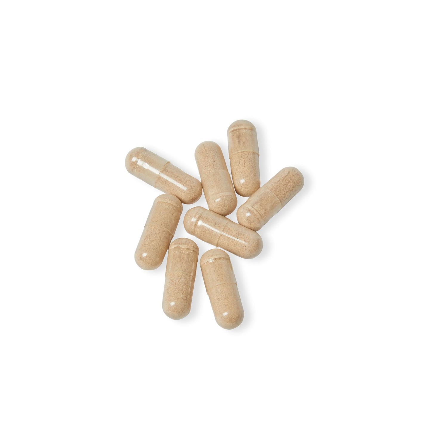 Vitagami Brain Support Complex | Mental Focus & Cognitive Energy (60 Capsules)